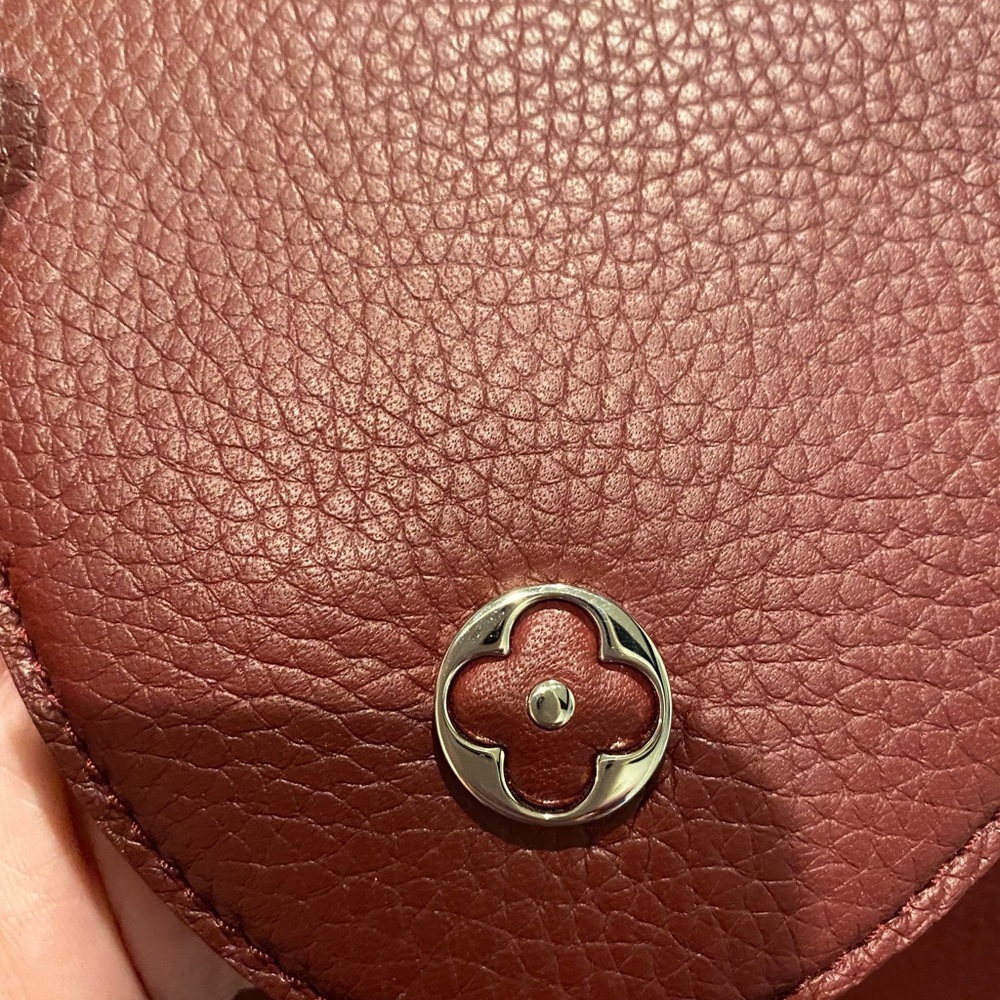 ❗️SOLD❗️💯% Auth LV Capucines MM python handle - Picture 14 of 16